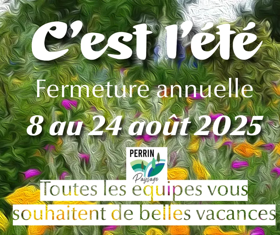 Vacances été 2025