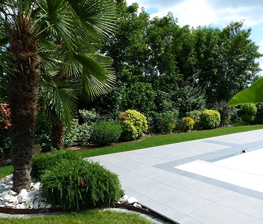 Aménagement autour d'une piscine avec arbres et arbustes