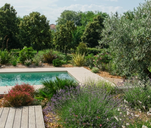 Végétalisation des abords piscine