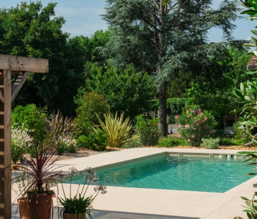 Végétalisations des abords piscine n°2