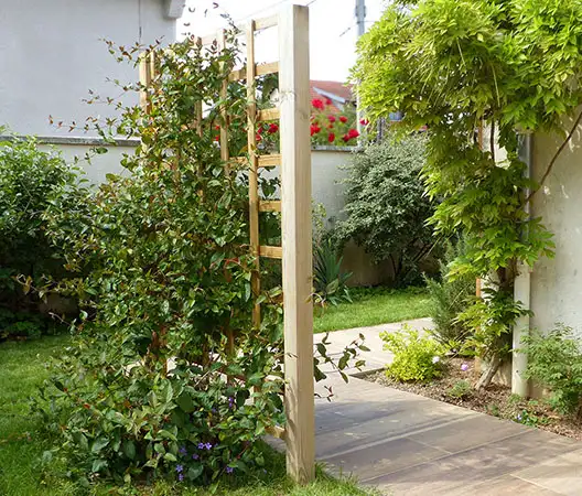 Installation d’une treille en 
bois pour plantes grimpantes