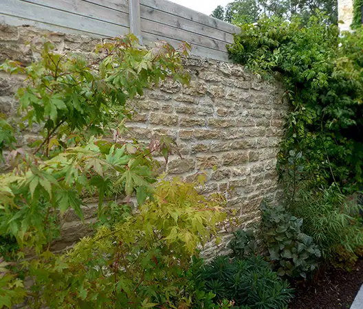 Mur en pierre maçonnée et végétaux grimpants